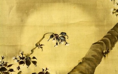 Hanging scroll - Silk - Full moon and sakura tree - With signature and seal 'Hojo' 豊城 - Japan - Early 20th century