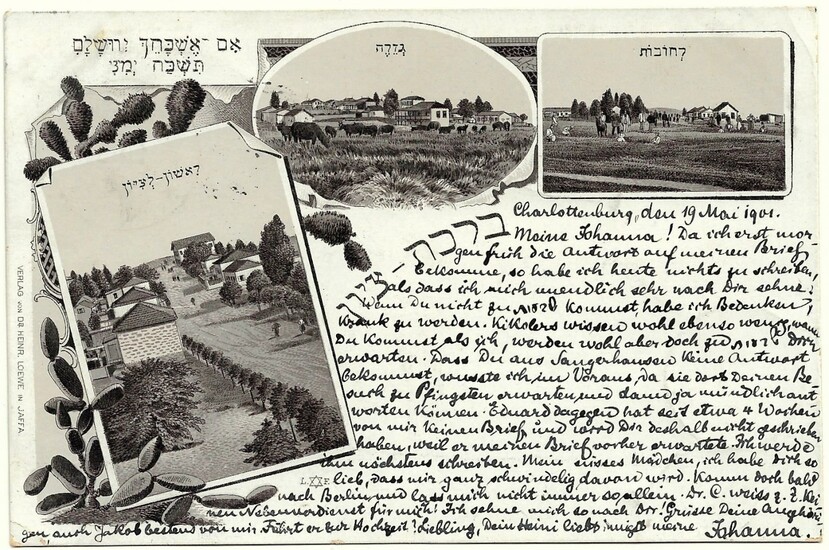 Jewish Colonies in Palestine Postcard - Loewe, Jaffa