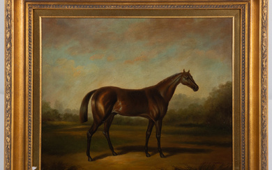 John Ctray. Horse Portrait, oil
