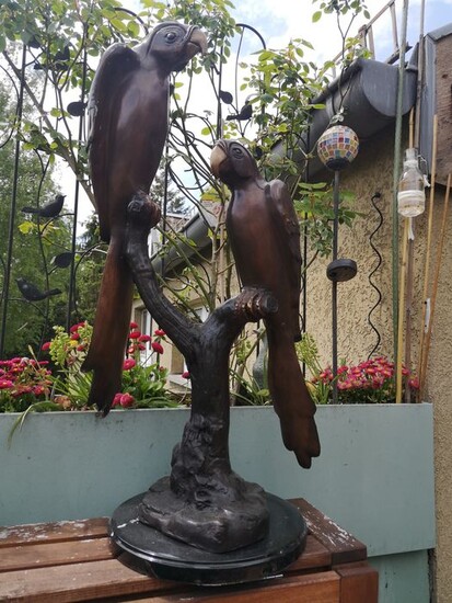 Large bronze sculpture - Parrots on branch - 70 cm - Patinated bronze