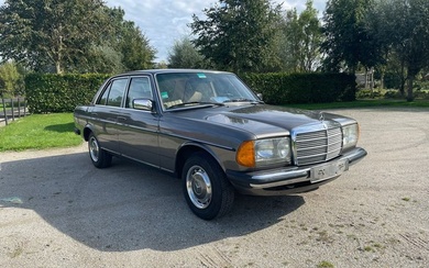 Mercedes-Benz - 230 E - NO RESERVE - 1981