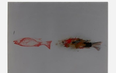 Michael Heizer, Fish Drawing