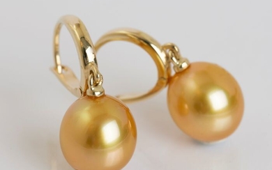 NO RESERVE PRICE - 14 kt. Yellow Gold - 9x10mm Golden South Sea Pearl Drops - Earrings