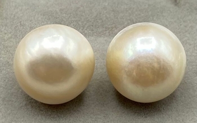 NO RESERVE PRICE - 18 kt. Yellow gold - Earrings Pearl