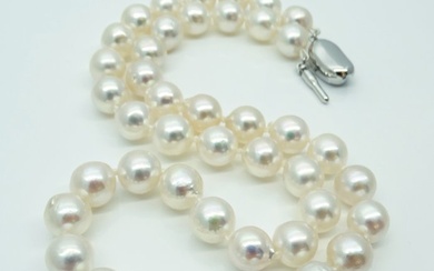 No Reserve Price - Akoya Pearls, 8.5 -9 mm - 925 Silver - Necklace