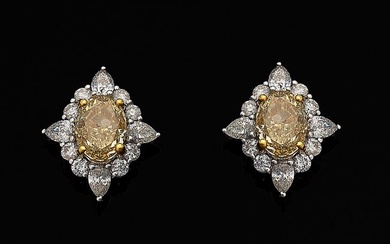 Paar elegante Fancy Diamant-Ohrringe