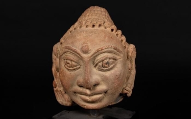 Sculpture (1) - Earthenware - Testa muliebre - India - Gupta Empire (c. 321 – c. 550 CE)