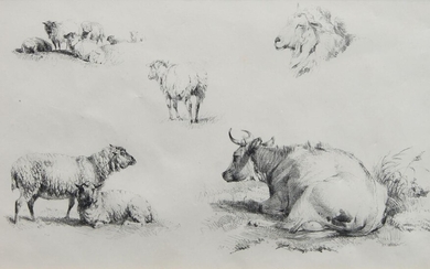 Thomas Sidney Cooper RA, British 1803-1902- Farmyard animals; lithographs, five, 22 x 30.5 cm (max.) (5) Provenance: K.J. Westwood Collection, according to the labels affixed to the reverse; The Canterbury Auction Galleries, Canterbury, 02/10/18