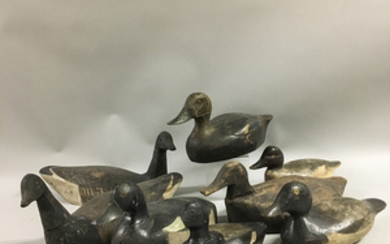Eight Carved and Painted Duck and Goose Decoys