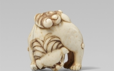 An unusual ivory netsuke of a shishi. Early 19th century