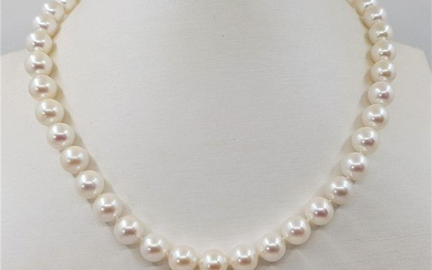 8.5x9mm Akoya Pearls - Necklace