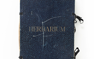 A herbarium, first half of the 20th century.
