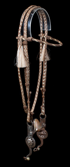 Braided and Hitched Horsehair Headstall with Bit