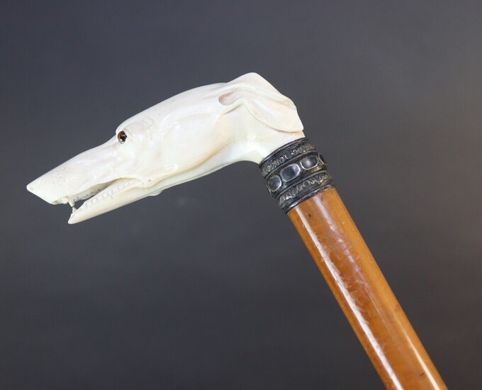 Cane with reed shaft. Ivory knob with a greyhound head. Glass eyes. Mounted with a faceted metal ring. Small chips in the ears and jaw. Early 20th century. Height 93,5 cm