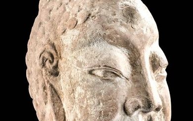 Chinese Wei Dynasty Stone Head - Dipankara Buddha