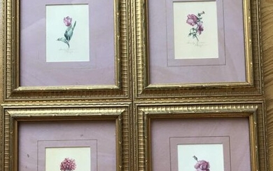 Collection Four Framed & Matted Botanical Prints