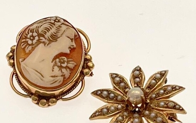 Collection of Two Pearl, Cameo, 14k Pin Pendants