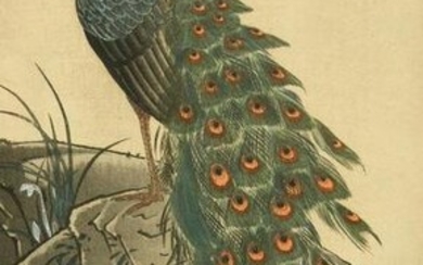 Early 20TH Century, Peacock on a rock, Japanese