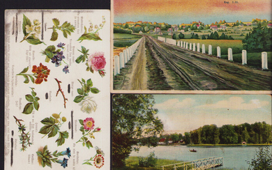 Estonia, Russia Group of postcards - Estonian Sights - Põlva, Võru Erastvere mõis & Flower postcard before 1940 (3)