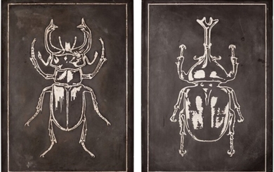 Franz Josef Steger and Carl Ernst Bock, Leipzig, Germany, 19th century | Pair of Didactic Panels Depicting Scarabs , Franz Josef Steger and Carl Ernst Bock, Leipzig, Germany, 19th century | Pair of Didactic Panels Depicting Scarabs