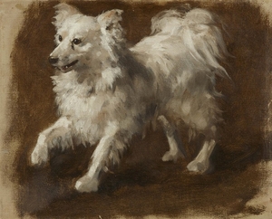 German School, 19th century, Oil Study of a Dog (Spitz)