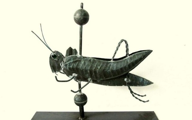 Graphic Grasshopper Vane