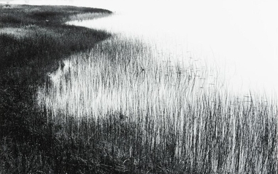HENRY GILPIN - Marsh Grass, c. 1978