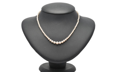 Jewellery Pearl necklace PEARL NECKLACE, clasp i 14K gold wi...