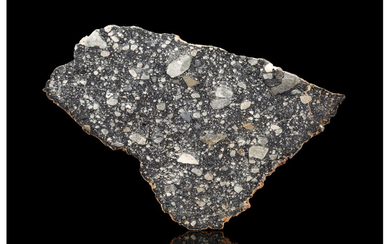NWA 13119 Lunar Meteorite Slice Lunar (feldspathic breccia) Mauritania...