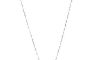 Tiffany Platinum Diamond .17ctw Small Paper Flowers Pendant Necklace