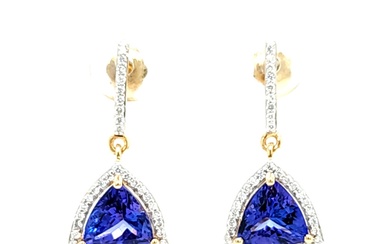 Trilliant-Cut Tanzanite and Diamond Halo Earrings