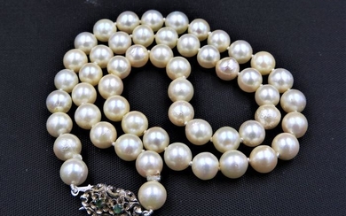 14 kt. Akoya pearls, White gold, 7.5 mm - Necklace Emerald