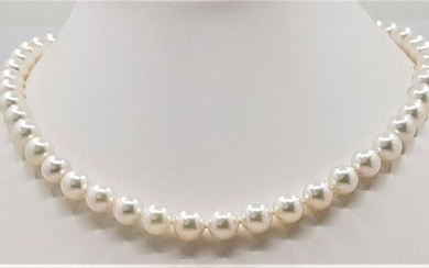 14 kt. Yellow Gold - Top grade AAA 8.5x9mm Akoya Pearls - Necklace