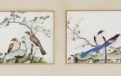 19th Century Chinese School - Six Watercolours/gouaches on pith...