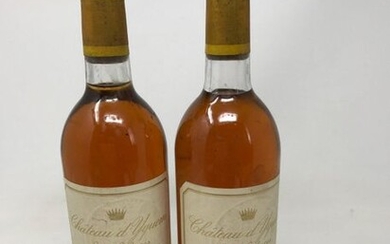 2 Bottles Château d'Yquem 1991 - Sauternes 1er CCSup - Capsules lég. Ab
