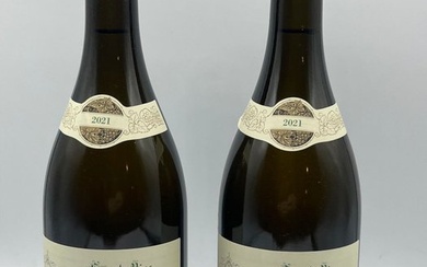2021 Chablis Grand Cru "Vaudésir" - Raoul Gautherin & Fils - Chablis - 2 Bottles (0.75L)