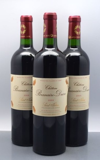 3 bouteilles CH. BRANAIRE DUCRU, 4° cru Saint-Julien… Résultats Grands Vins & Spiritueux Lot n° 433