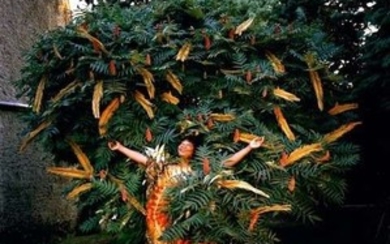 Nicolas HENRY Joséphine Nyounai dans son jardin avec les feuilles de son arbre d'Afrique, Les Mesnuls, France, 2003