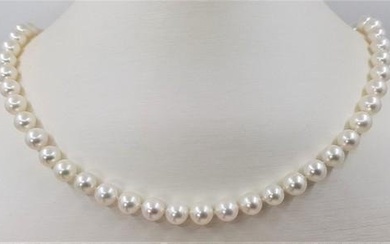 7.5x8mm Akoya Pearls - Necklace