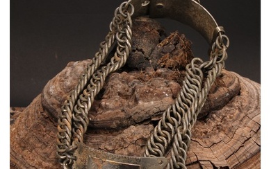 A 19th century American chain-link dog collar, the rectangul...