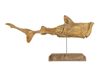 A LIFE-SIZE PAINTED MODEL OF A DEFORMED SHARK
