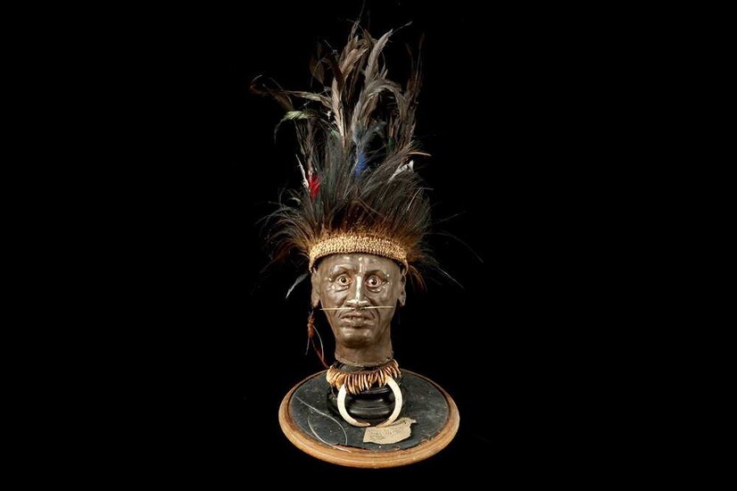 A MODEL OF A TRIBAL ELDERS' HEAD A NEW GUINEA TRIBAL HEAD UNDER A LARGE 19TH CENTURY GLASS DOME