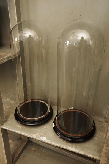 A PAIR OF GLASS DOMES ON EBONISED WOODEN BASES, H.48CM, LEONARD JOEL LOCAL DELIVERY SIZE: SMALL