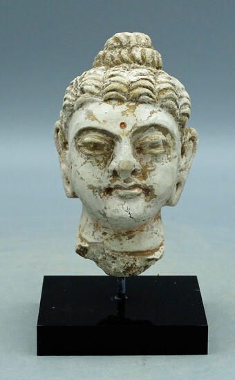 A beautiful Gandharan stucco head of the Buddha