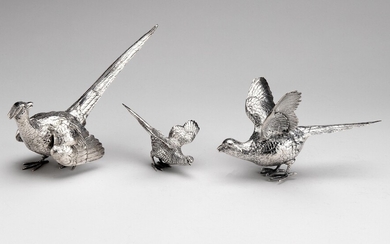 A pair of German silver pheasants and a smaller pheasant
