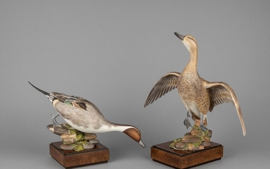 A pair of Royal Worcester models of American Pintail Ducks by R. Van Ruyckevelt, Tallest: 11 1/2 in. (29.2 cm.) h.