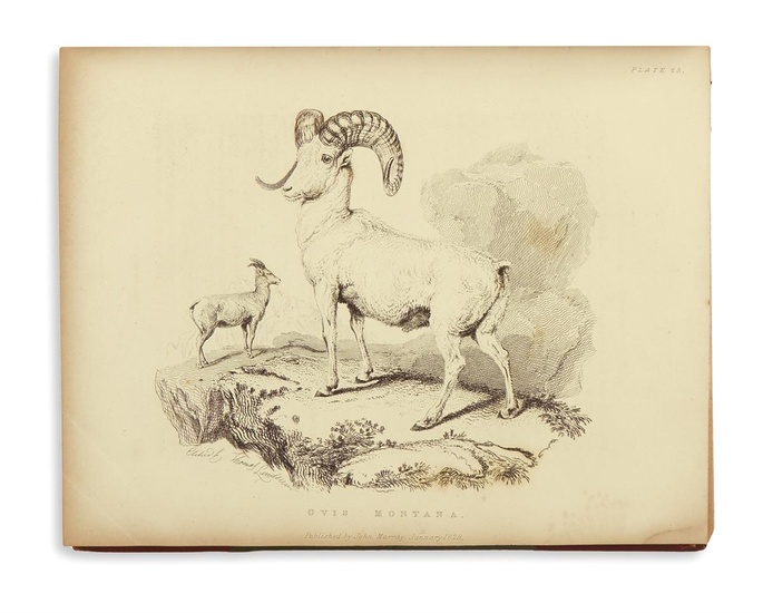 (ARCTIC.) Richardson, John. Fauna Boreali-Americana; or the Zoology of the Northern Parts of...