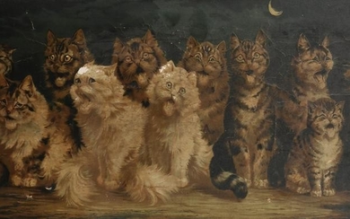 After Louis William Wain (1860-1939) British. A Study