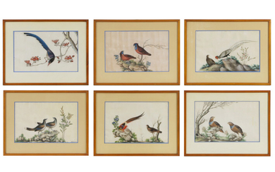 CHINA - 19° EEUW reeks van zes schilderingen op rijstpapier telkens met een compositie met vogels - ca 16 x 27 cm ||series of six 19th Cent. Chinese paintings on ricepaper