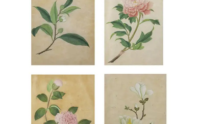Chinese school, early 20th century 'Botanical studies' Gouache on paper, four paintings...